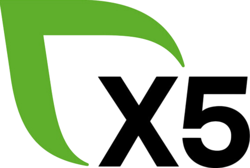 Х5 Group